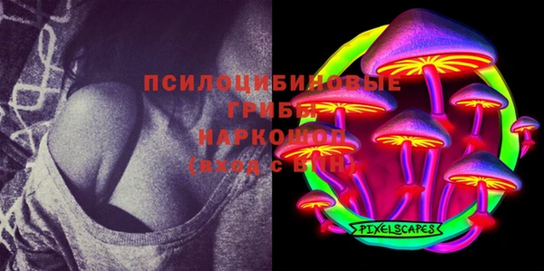 мдма Богданович