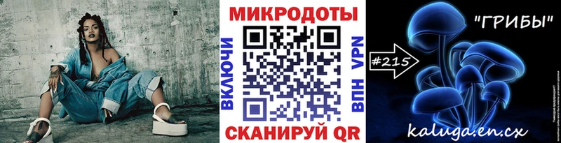 нарко площадка телеграм  мега ссылки  Сковородино  купить закладку  Псилоцибиновые грибы Psilocybe 